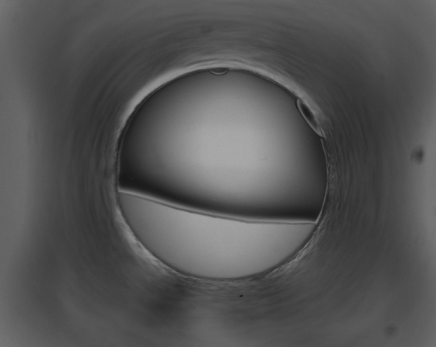 X0000096701534200802121151