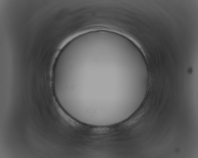 X0000096701535200802121151