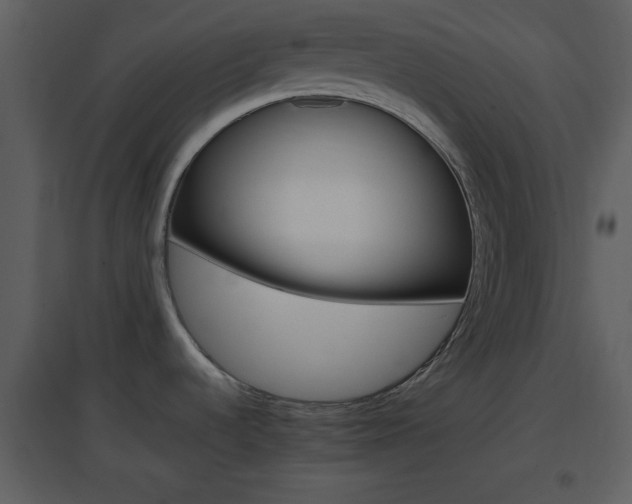 X0000096701536200802121151