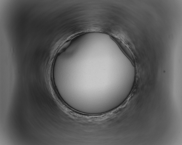 X0000096700001200802191457