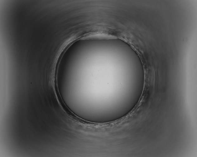 X0000096700003200802191457