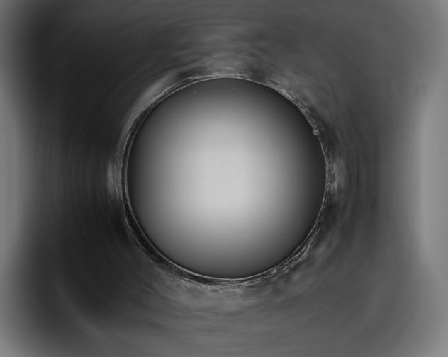 X0000096700004200802191457