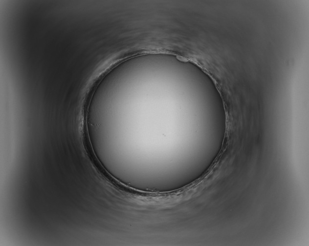X0000096700005200802191457