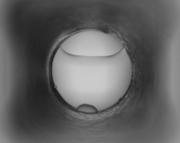 X0000096700006200802191457