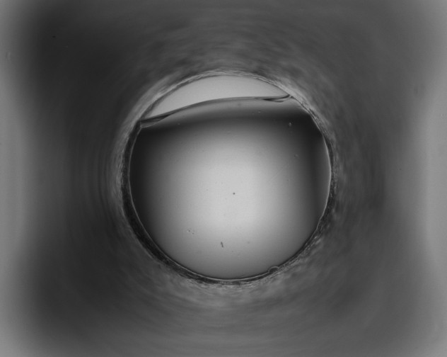 X0000096700007200802191457