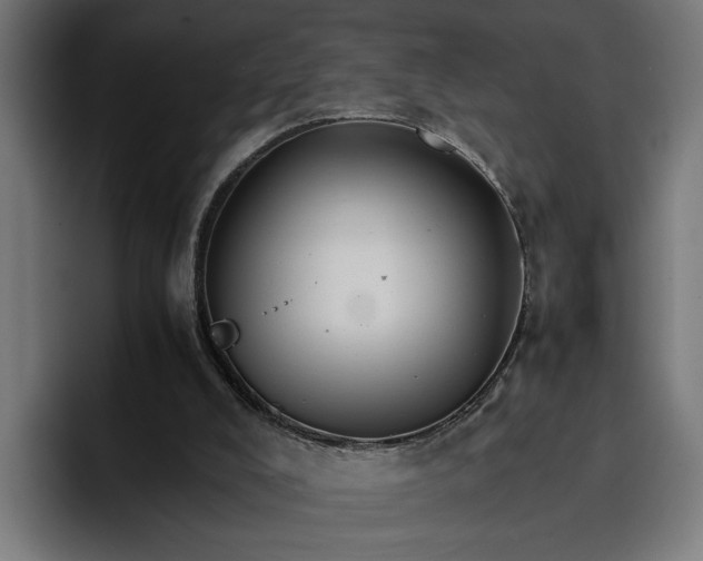 X0000096700008200802191457