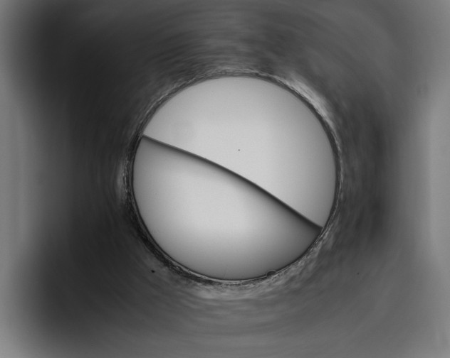 X0000096700009200802191457