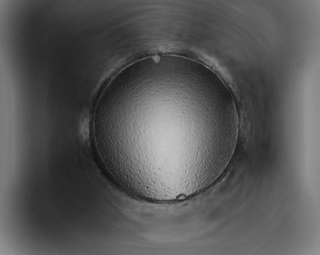 X0000096700010200802191457