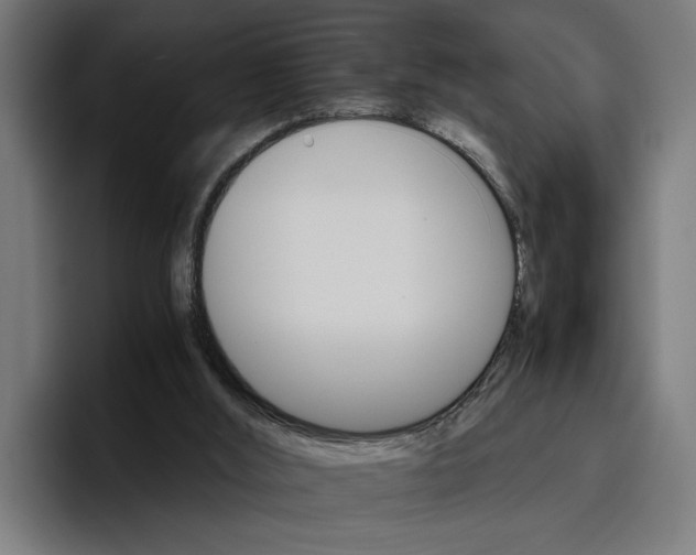 X0000096700012200802191457