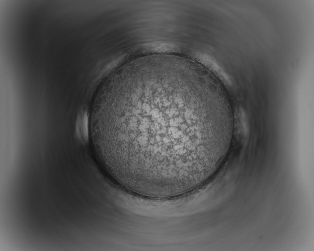 X0000096700014200802191457