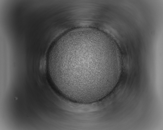 X0000096700016200802191457