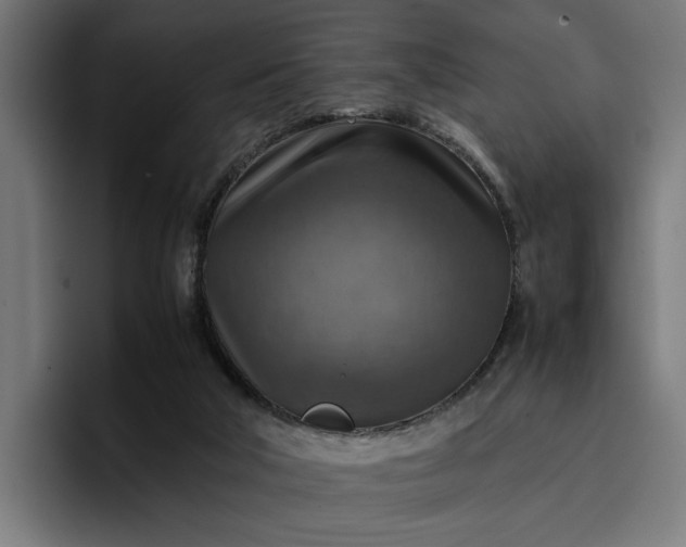 X0000096700018200802191457