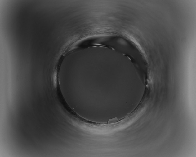X0000096700019200802191457