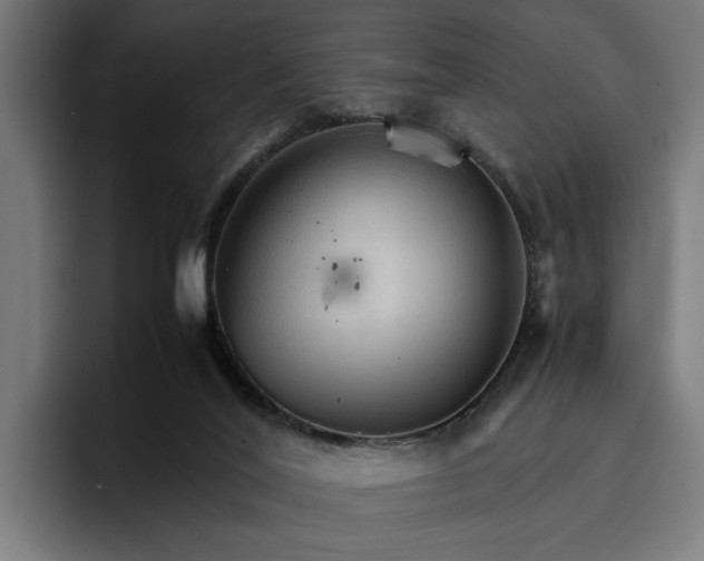 X0000096700020200802191457