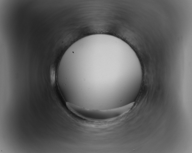 X0000096700021200802191457