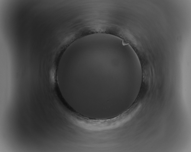 X0000096700023200802191457