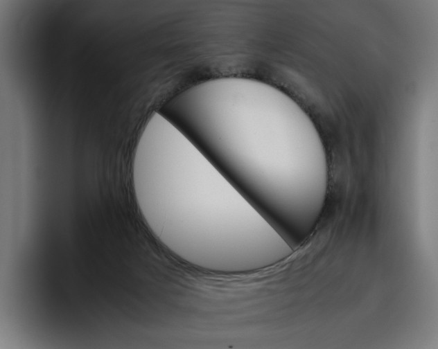 X0000096700025200802191457