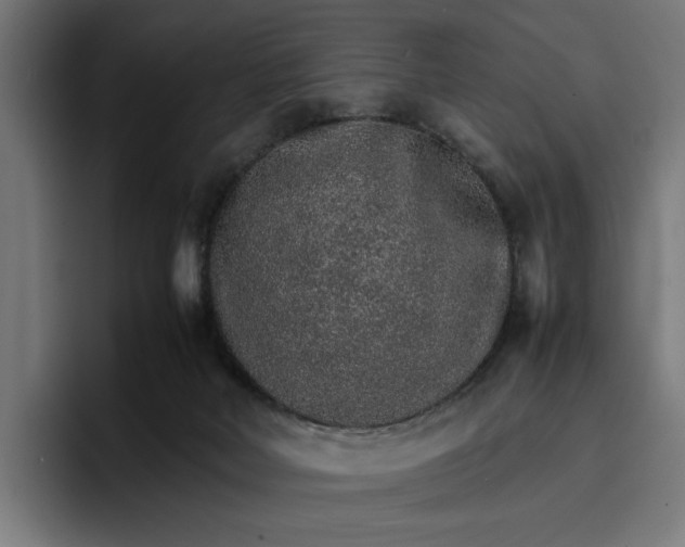X0000096700026200802191457