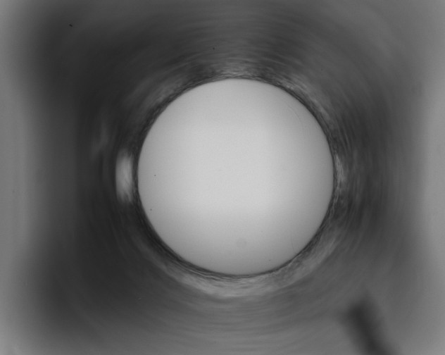 X0000096700028200802191457