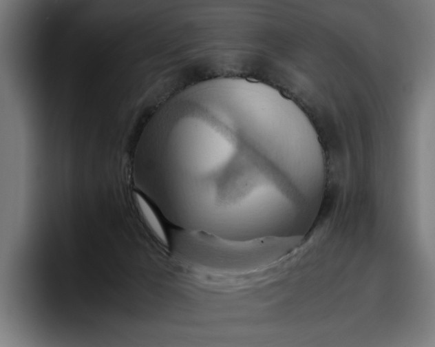 X0000096700029200802191457