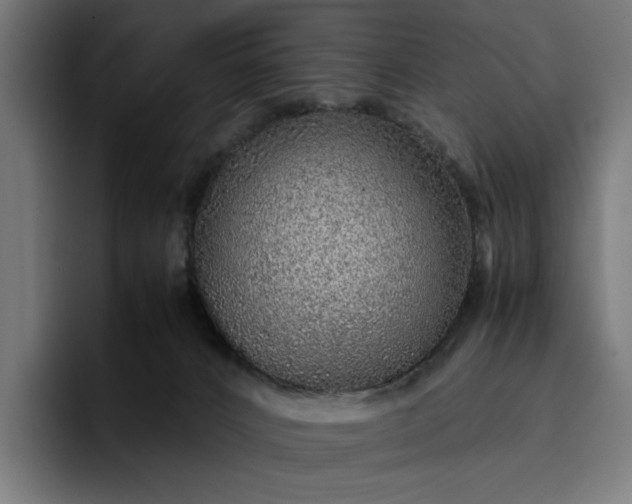 X0000096700032200802191457