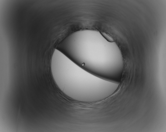 X0000096700033200802191457