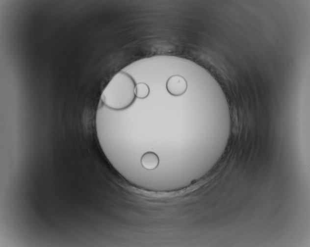 X0000096700034200802191457