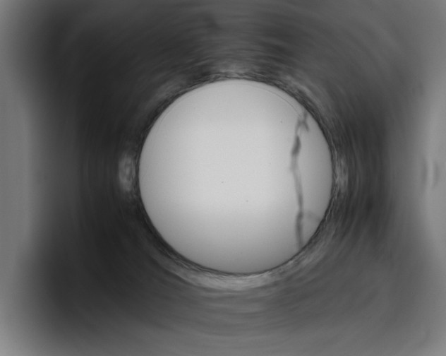 X0000096700036200802191457