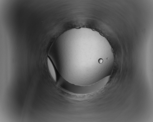 X0000096700037200802191457