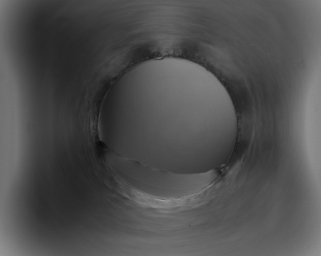 X0000096700039200802191457