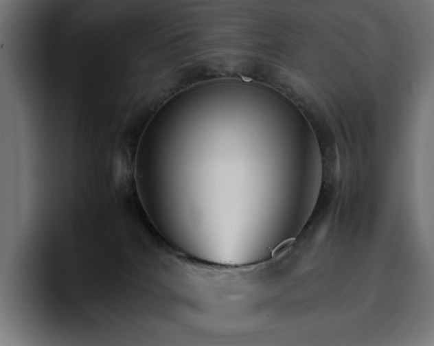 X0000096700040200802191457