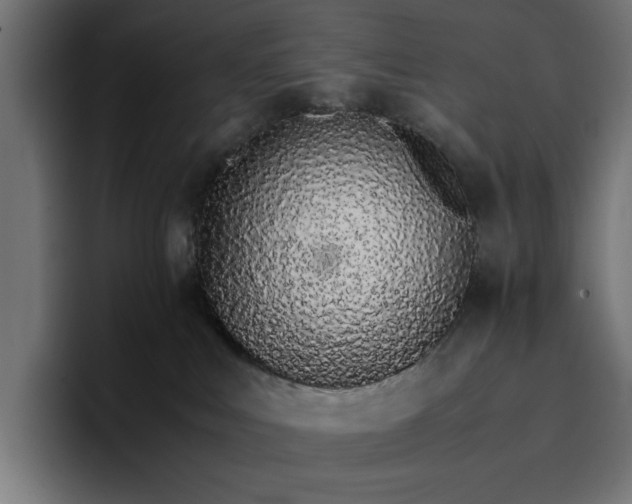 X0000096700043200802191457