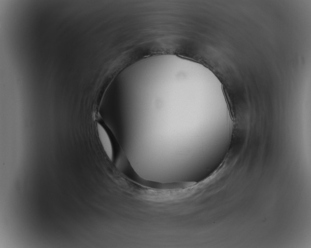 X0000096700045200802191457