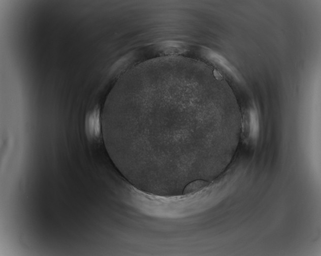 X0000096700046200802191457