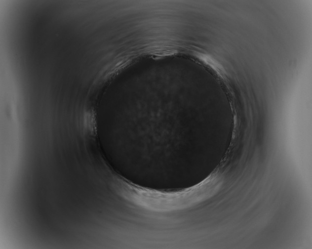 X0000096700048200802191457