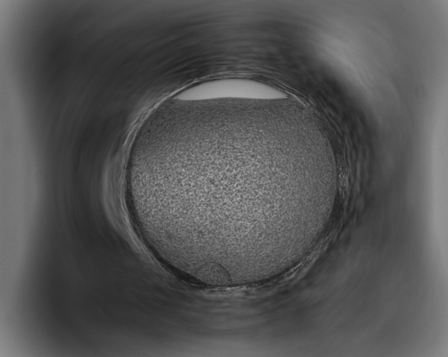 X0000096700049200802191456