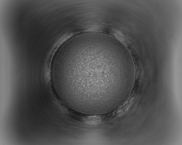 X0000096700050200802191456