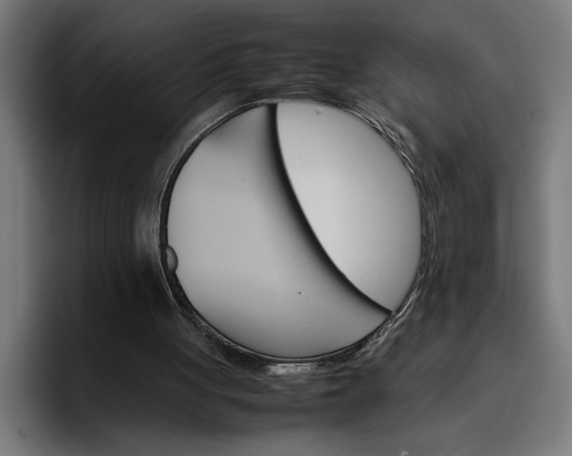 X0000096700051200802191456