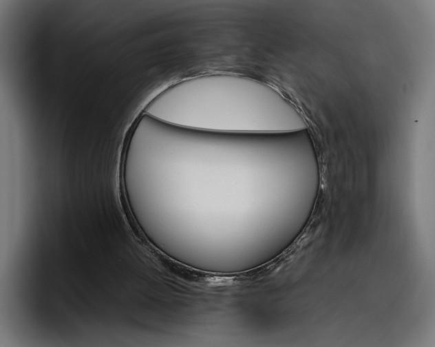 X0000096700052200802191456