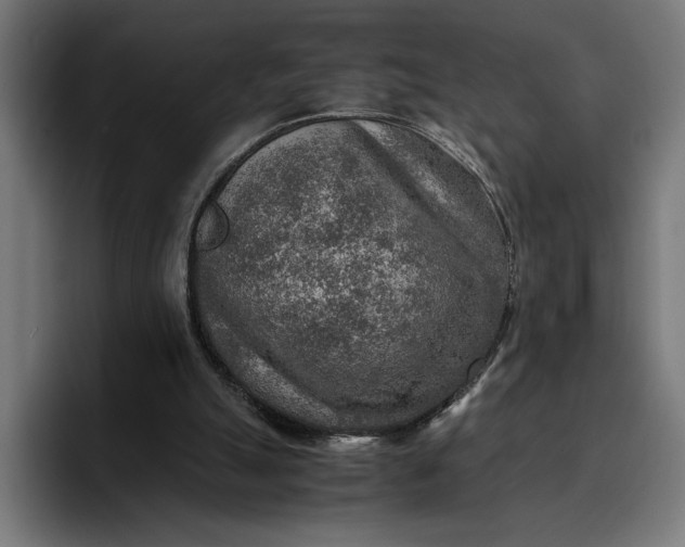 X0000096700055200802191456