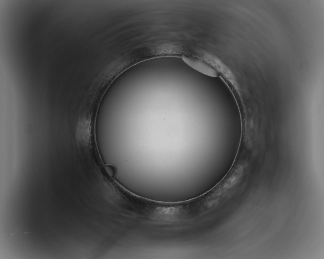 X0000096700057200802191456