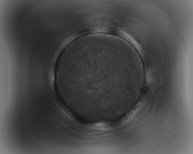 X0000096700059200802191456