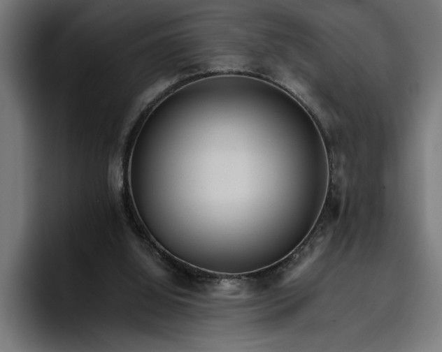X0000096700060200802191456