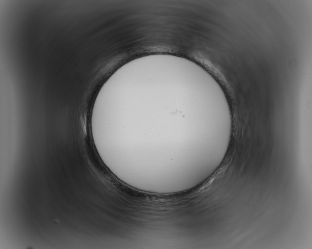 X0000096700062200802191456