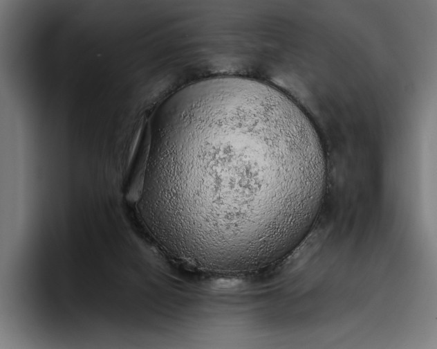 X0000096700066200802191456