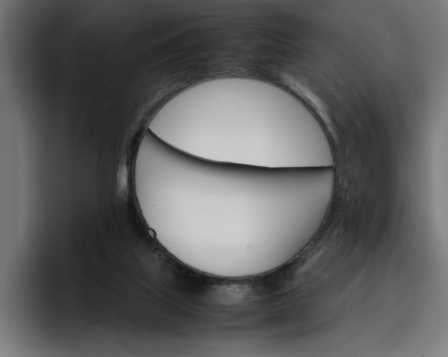 X0000096700067200802191456