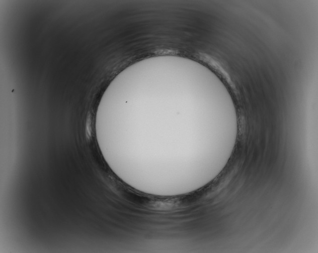 X0000096700069200802191456