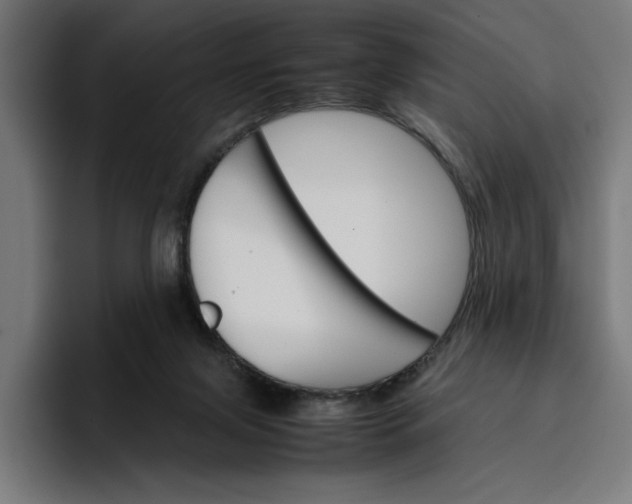 X0000096700071200802191456