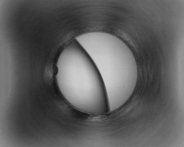 X0000096700072200802191456