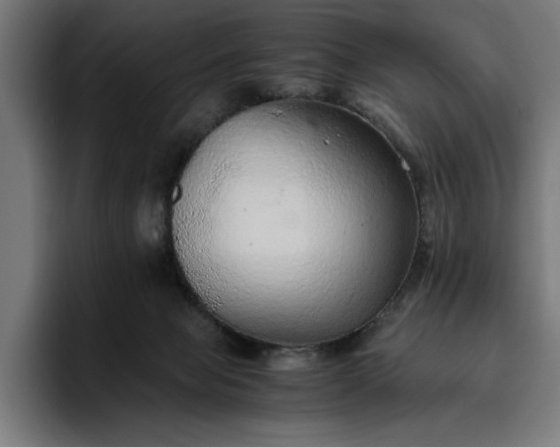 X0000096700077200802191456